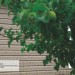 Сайдинг Ю-Пласт TIMBERBLOCK Пихта (Тимберблок) Cахалинская купить в Калуге