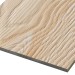 Фиброцементные панели FCSPRO Decor Wood Лиственница купить в Калуге
